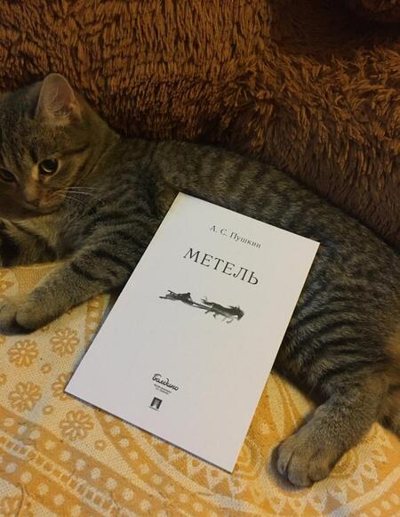 Фотография книги "Пушкин: Метель"
