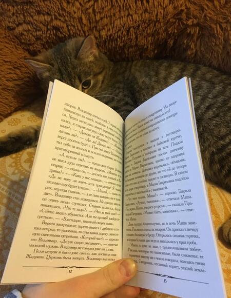 Фотография книги "Пушкин: Метель"