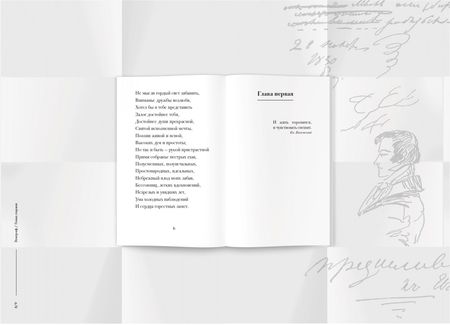 Фотография книги "Пушкин: Евгений Онегин. Пропущенные строфы. Другие редакции и варианты"