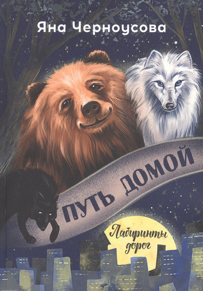 Обложка книги "Путь домой. Лабиринты дорог "