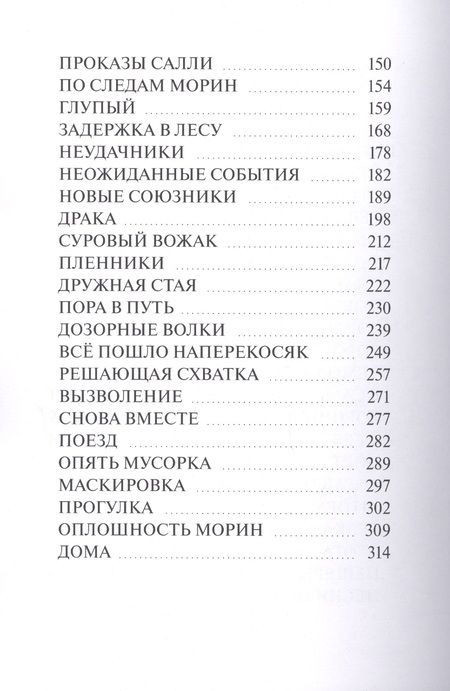 Фотография книги "Путь домой. Лабиринты дорог "