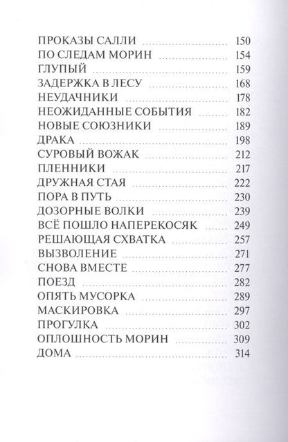 Фотография книги "Путь домой. Лабиринты дорог "