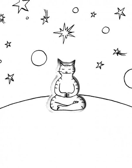 Фотография книги "Путь кота. Странствия и приключения в море спокойствия"