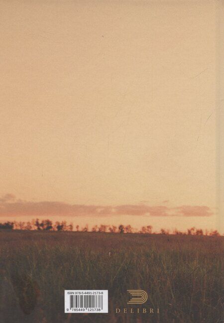 Фотография книги "Путь становления к Солнцу"