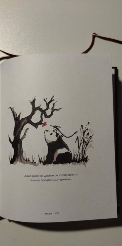 Фотография книги "Путешествие к себе. Большая Панда и Маленький Дракон. Медитативная история"