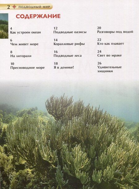 Фотография книги "Пётр Михайлович: Подводный мир. Детская энциклопедия"