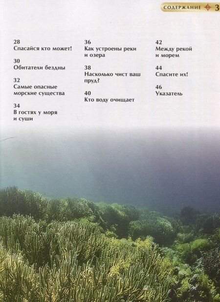 Фотография книги "Пётр Михайлович: Подводный мир. Детская энциклопедия"