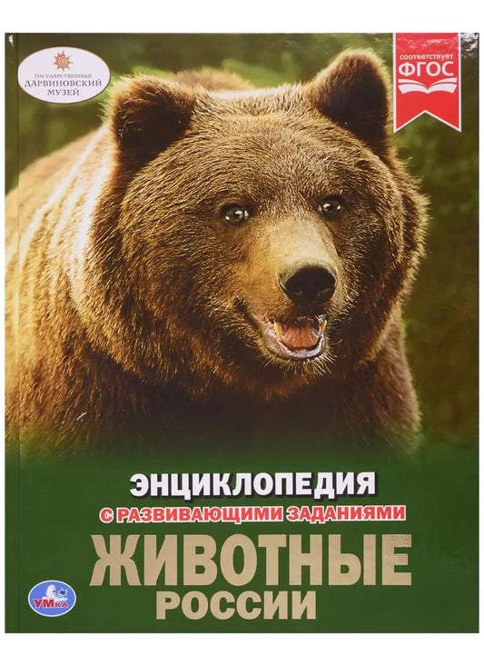 Обложка книги "Пётр Волцит: Животные россии. Энциклопедия с развивающими заданиями"