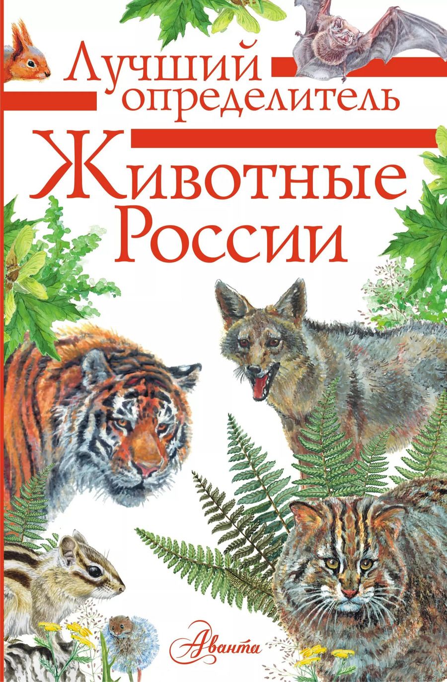 Обложка книги "Пётр Волцит: Животные России. Определитель"