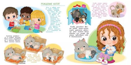 Фотография книги "Р. Барсотти: Заботимся о малышах. Мой котенок"