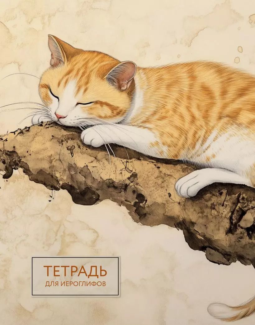 Обложка книги "Р. Фасхутдинов: Тетрадь для иероглифов (рыжий котик)"