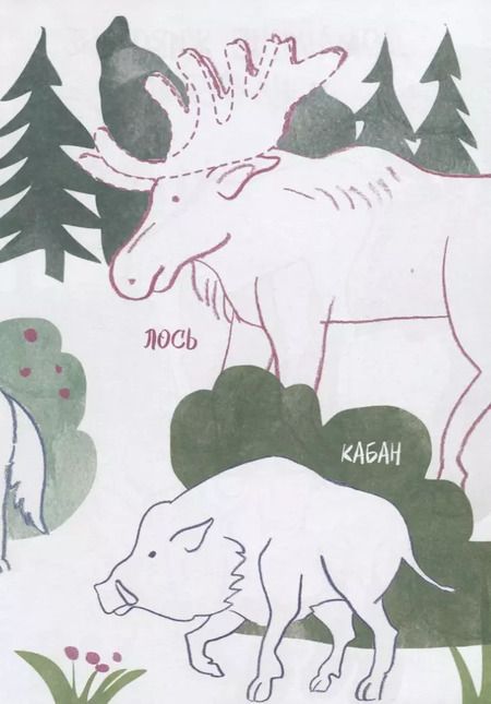 Фотография книги "Р Креативная раскраска Животные (+накл.) (илл. Мосоха) (мМирГлРеб)"