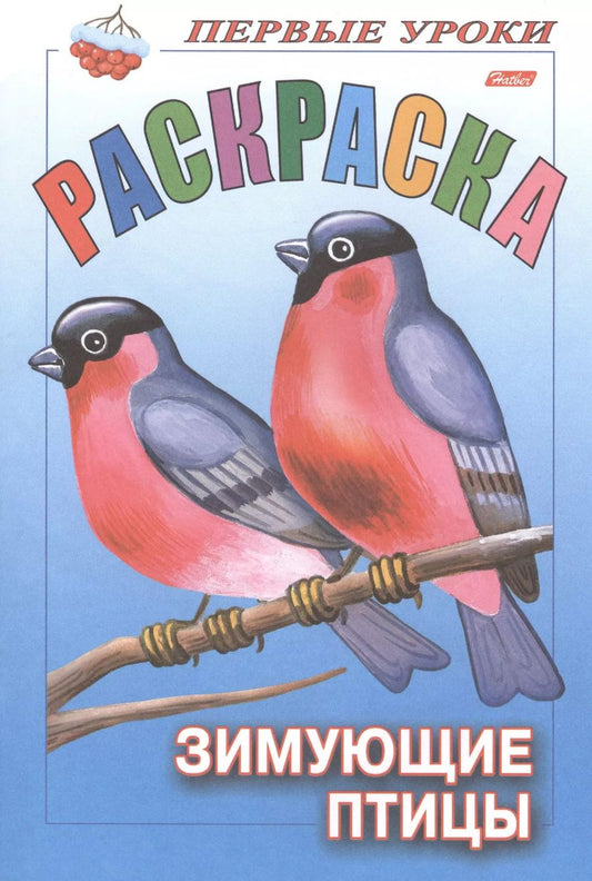 Обложка книги "Р Первые уроки Зимующие птицы (м)"