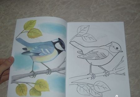 Фотография книги "Р Первые уроки Зимующие птицы (м)"