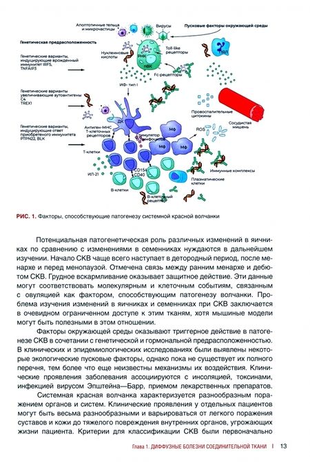 Фотография книги "Раденска-Лоповок: Биопсийная диагностика ревматических заболеваний. Руководство для врачей"