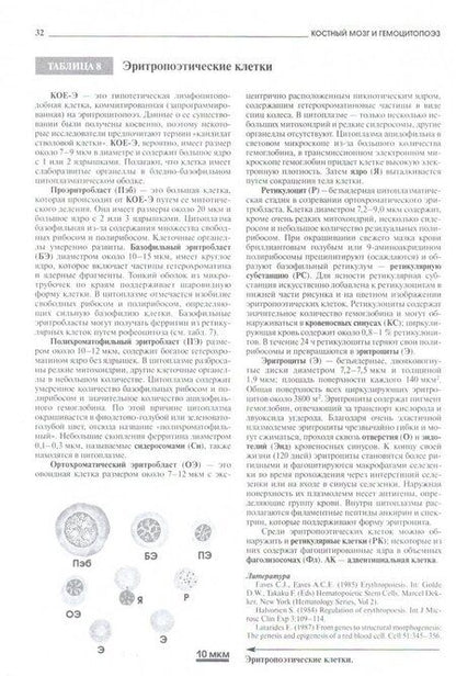 Фотография книги "Радивой Крстич: Атлас микроскопической анатомии человека. Учебное пособие"