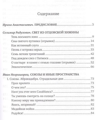 Фотография книги "Радулович, Негришорац: Свет иных пространств. Опыт бинарного чтения я. Сборник"