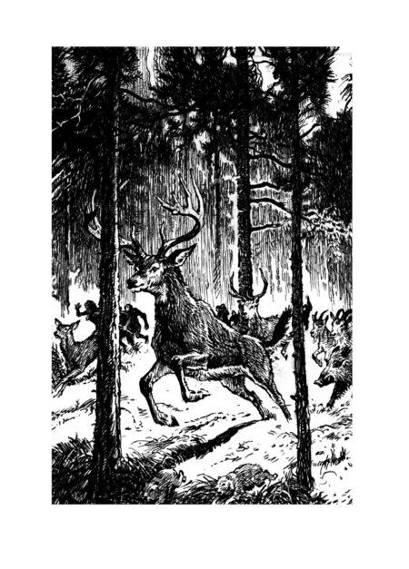 Фотография книги "Радзиевская: Рам и Гау"