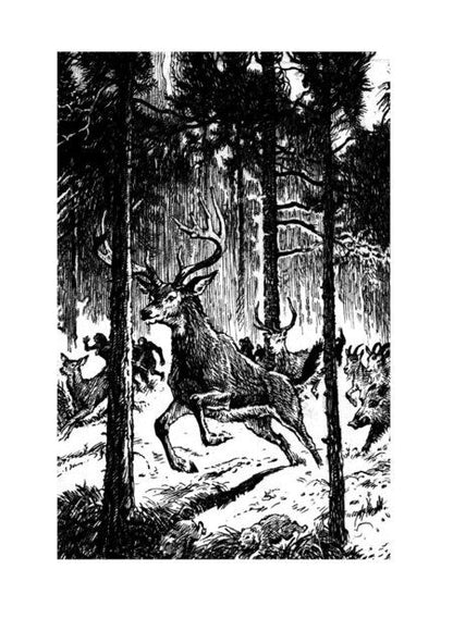 Фотография книги "Радзиевская: Рам и Гау"