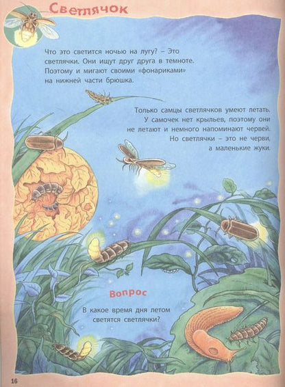 Фотография книги "Райхенштеттер, Бойренмайстер: Как живут насекомые? Книжка-активити"