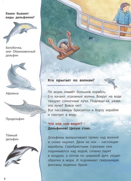 Фотография книги "Райхенштеттер: Дельфинчик и его морские соседи. Познавательные истории"