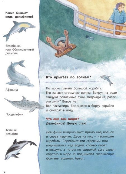 Фотография книги "Райхенштеттер: Дельфинчик и его морские соседи. Познавательные истории"