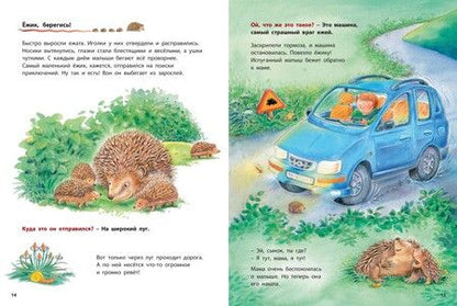 Фотография книги "Райхенштеттер: Как живут ёжики. Познавательные истории"