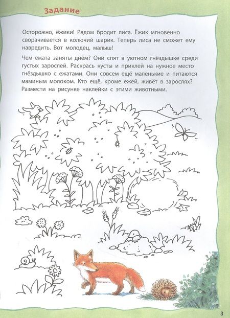 Фотография книги "Райхенштеттер: Кто живёт на опушке? Книжка-активити"