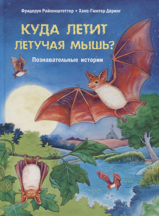 Обложка книги "Райхенштеттер: Куда летит летучая мышь? Познавательные истории"