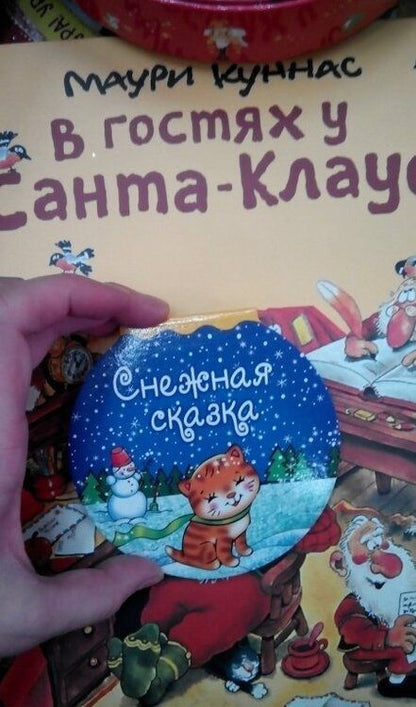 Фотография книги "Раиса Кудашева: Снежная сказка"