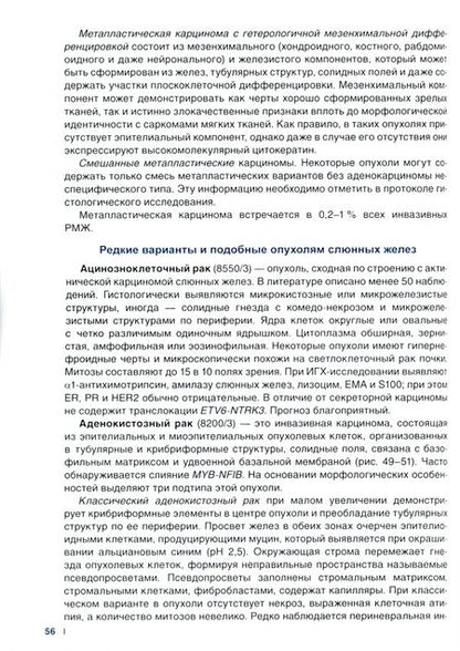 Фотография книги "Рак молочной железы. Морфологическая диагностика и генетика. Руководство для врачей"