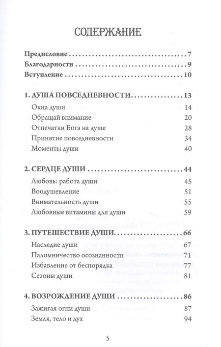 Фотография книги "Рам Дасс: Руководство к душе"