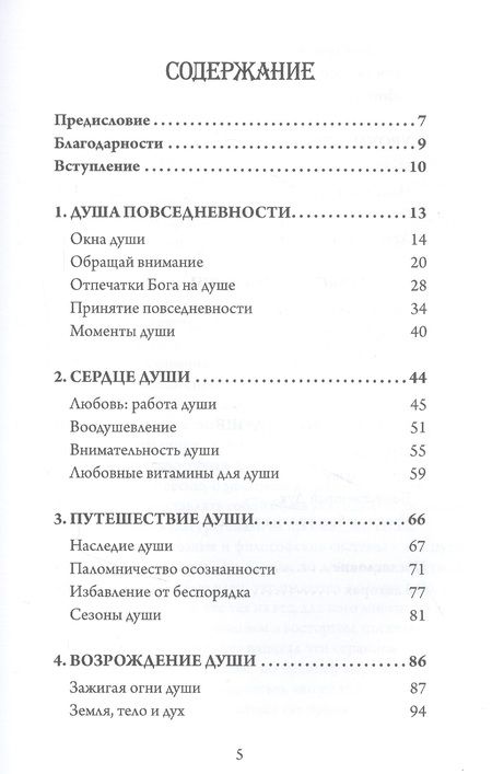 Фотография книги "Рам Дасс: Руководство к душе"