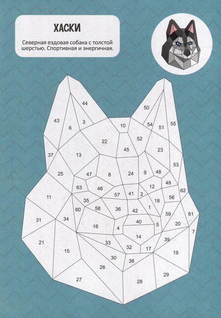 Фотография книги "Раскрась по номерам. Собаки"