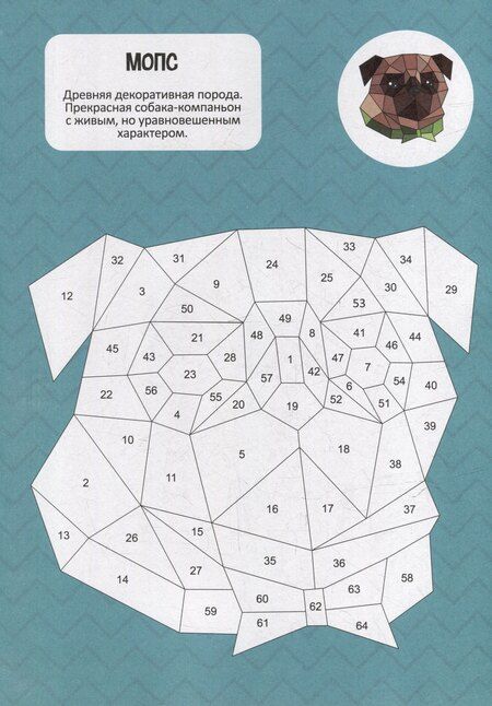 Фотография книги "Раскрась по номерам. Собаки"