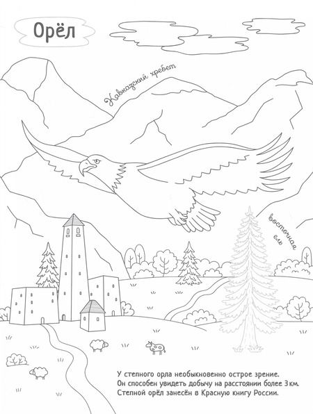 Фотография книги "Раскрась Россию (комплект из 2 книг)"