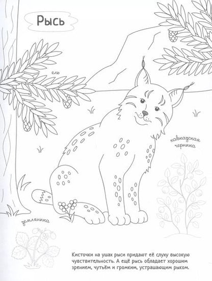 Фотография книги "Раскрась Россию (комплект из 2 книг)"