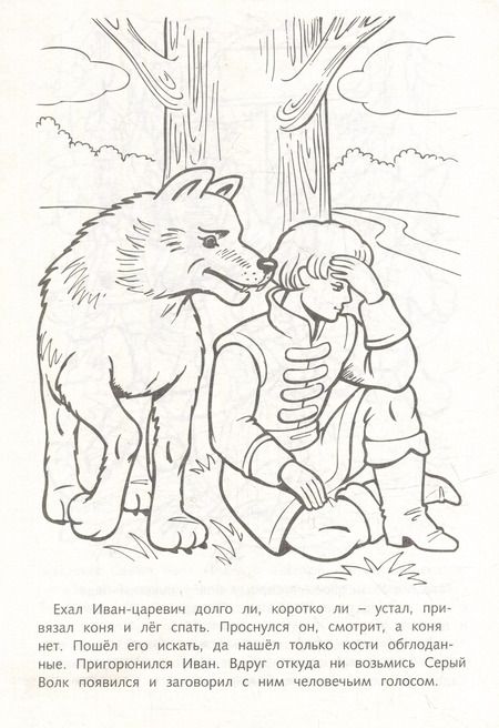 Фотография книги "Раскраска. Любимые сказки. Иван-царевич и серый волк"