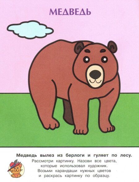Фотография книги "Раскраска. Ежик"