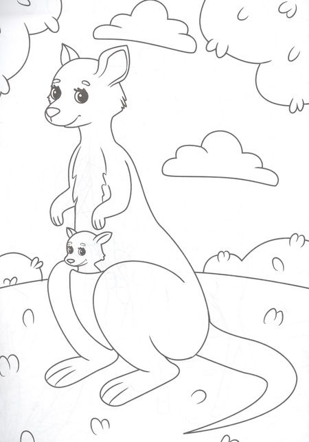 Фотография книги "РАСКРАСКА А4 эконом. КТО ЖИВЕТ В ЗООПАРКЕ?"