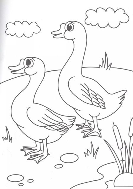 Фотография книги "РАСКРАСКА А4 эконом. КТО ЖИВЁТ НА ФЕРМЕ?"