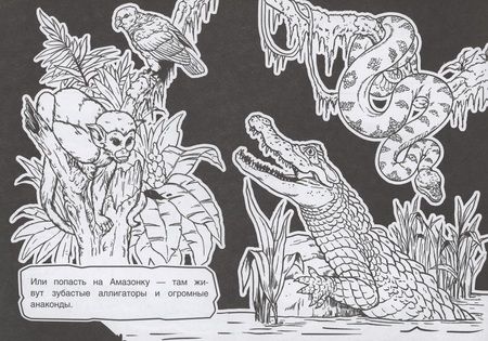 Фотография книги "Раскраска для мальчиков. Три цвета бумаги"