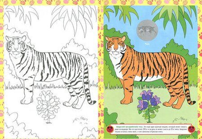 Фотография книги "Раскраска с наклейками: "Дикие животные России""