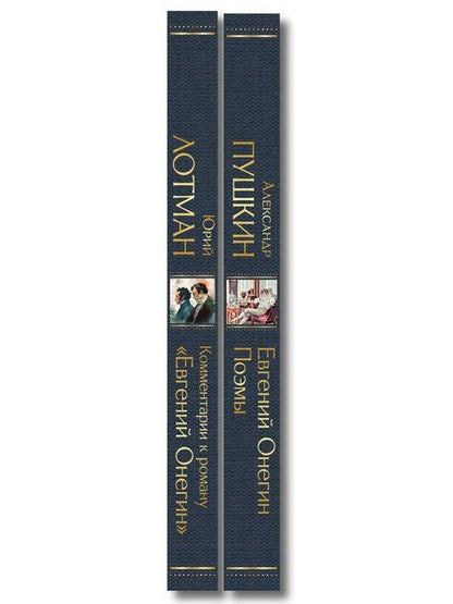 Фотография книги "Расшифрованный Евгений Онегин (набор из 2 книг: Евгений Онегин, Комментарии к роману «Евгений Онегин». Биография А. С. Пушкина)"