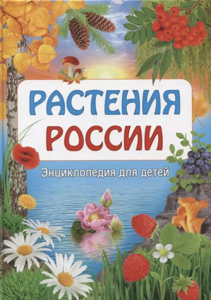 Обложка книги "Растения России. Энциклопедия для детей"
