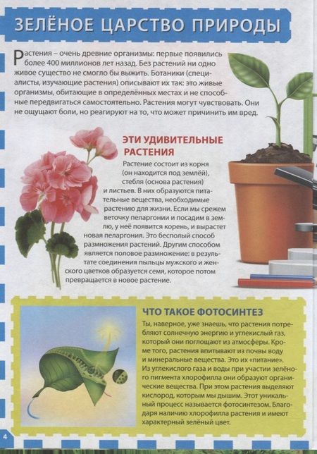 Фотография книги "Растения России. Энциклопедия для детей"