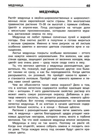 Фотография книги "Растения России. ФГОС"