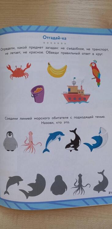 Фотография книги "Разливанова, Григорович, Колосова: Морское путешествие: развитие речи + зрительно-моторная координация"