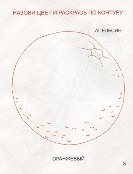 Фотография книги "Разноцветный мир"