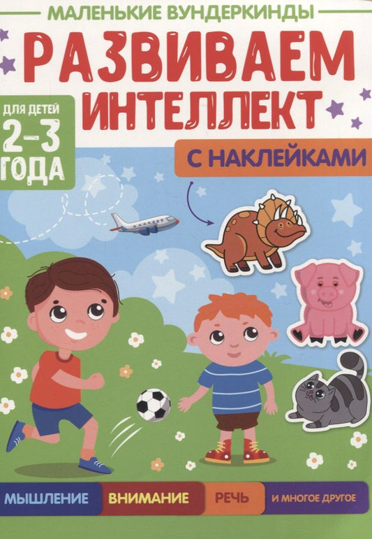 Обложка книги "Развиваем интеллект. 2-3 года"